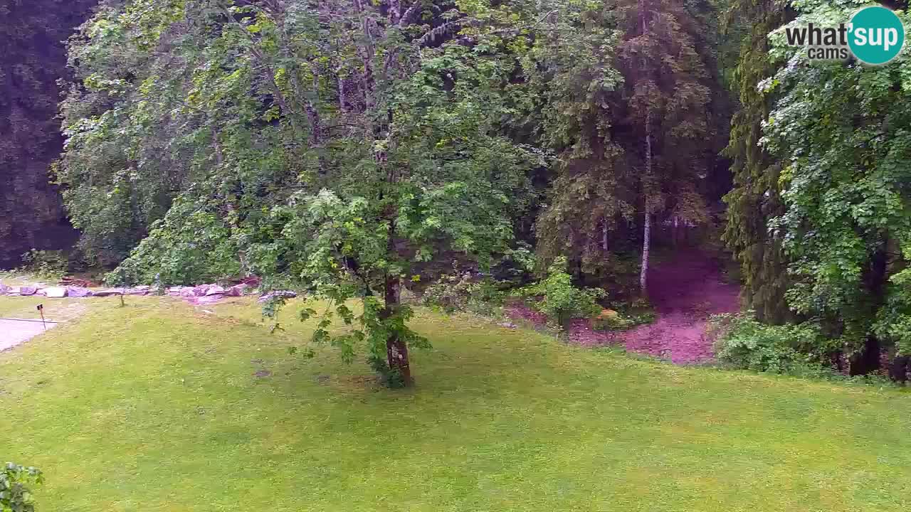 Webcam Lukanja – Water Village | Pohorje Houses