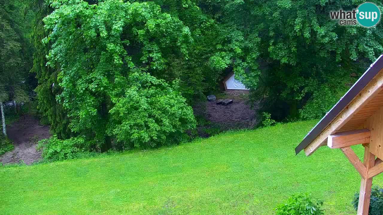 Webcam Lukanja – Water Village | Pohorje Houses
