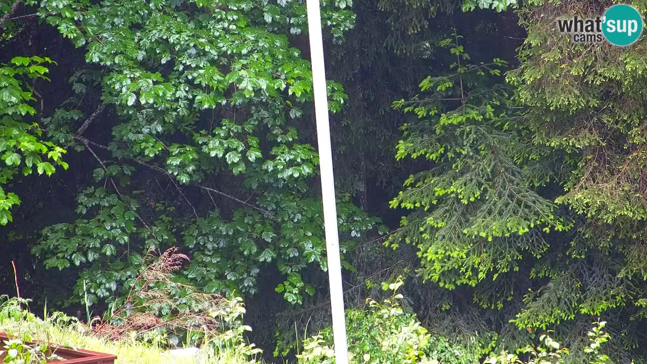 Webcam Lukanja – Water Village | Pohorje Houses