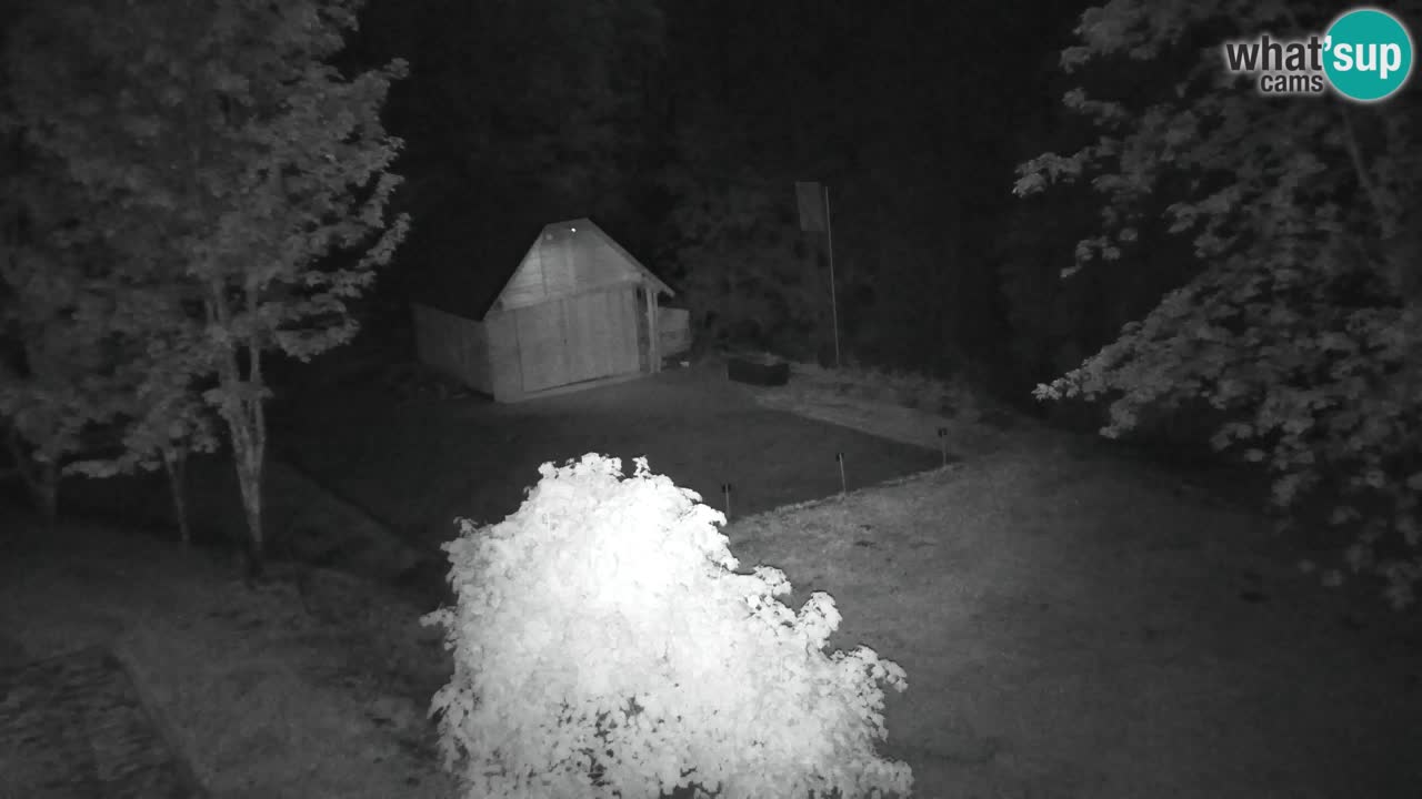 Webcam Lukanja – Pohorje houses a Water village