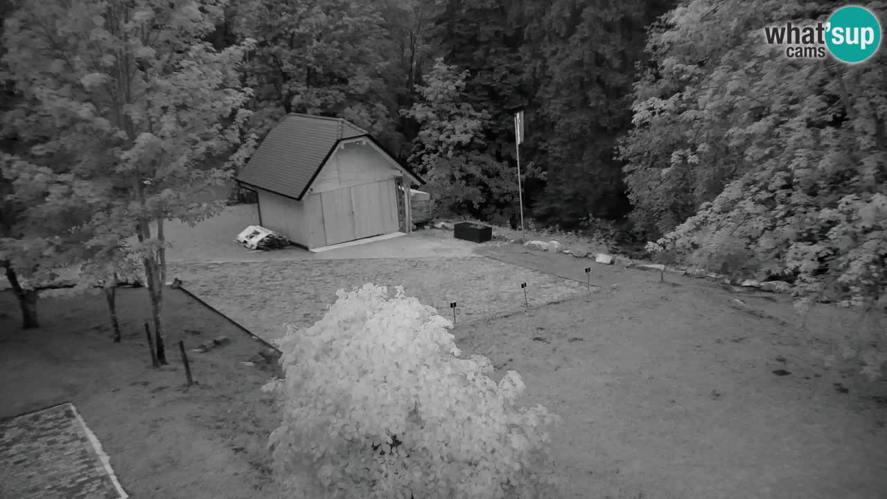 Webcam Lukanja – Water Village | Pohorje Houses