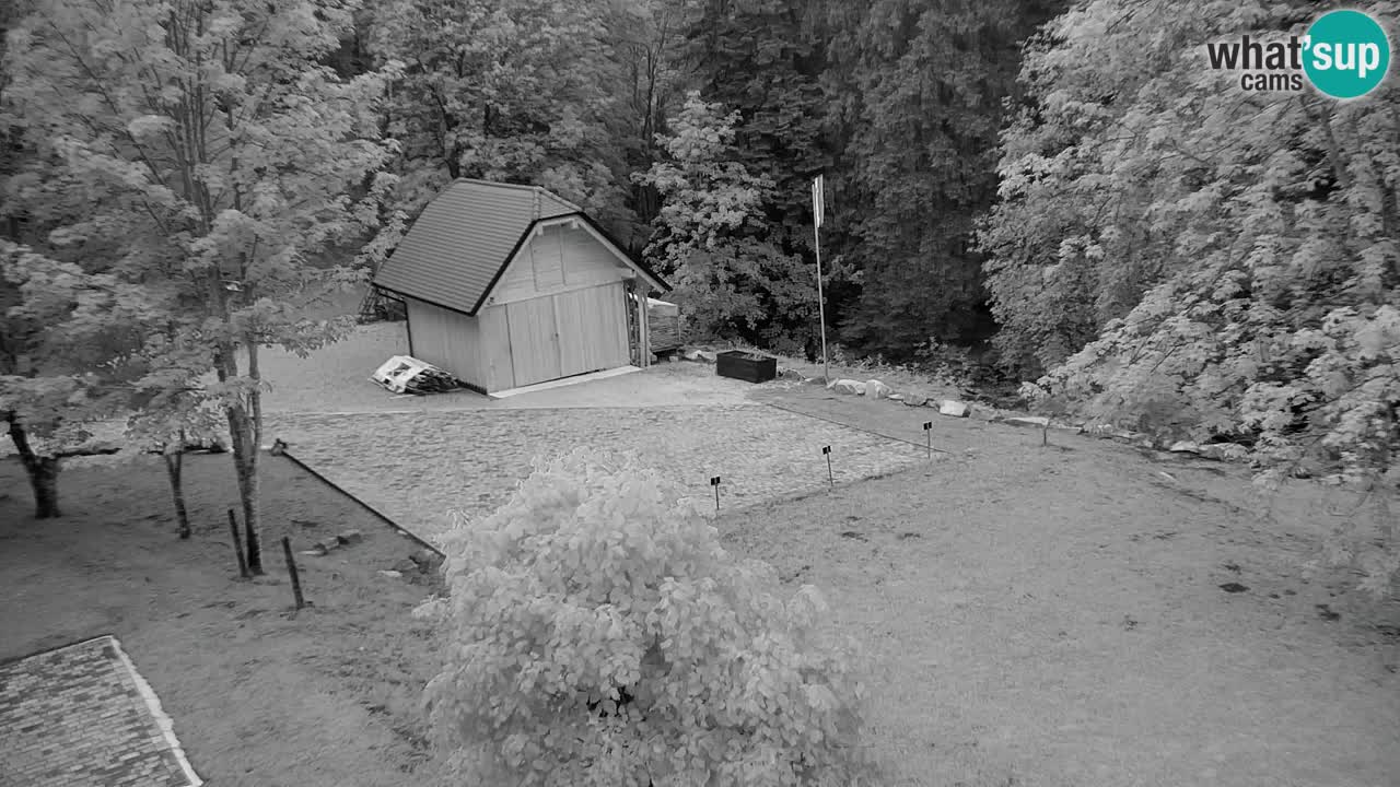 Webcam Lukanja – Water Village | Pohorje Houses