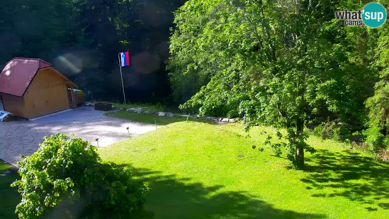 Webcam Lukanja – Water Village | Pohorje Houses