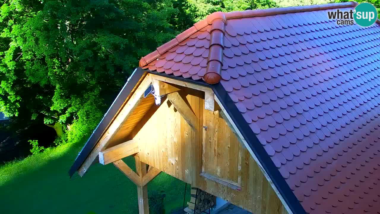 Webcam Lukanja – Water Village | Pohorje Houses