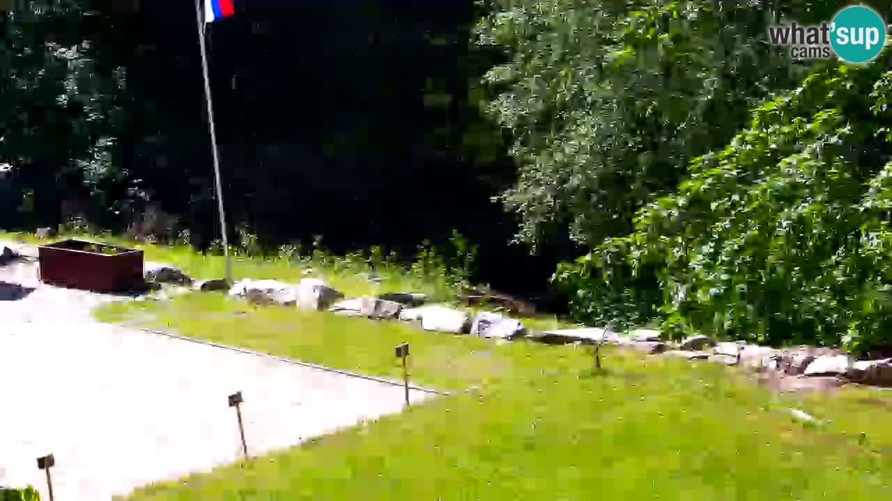 Webcam Lukanja – Pohorje houses a Water village