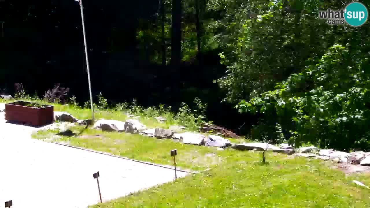 Webcam Lukanja – Water Village | Pohorje Houses