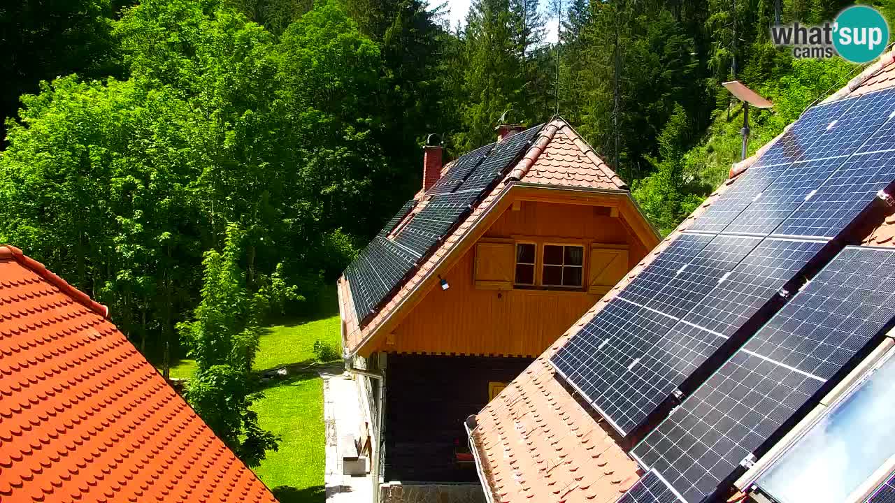 Webcam Lukanja – Water Village | Pohorje Houses