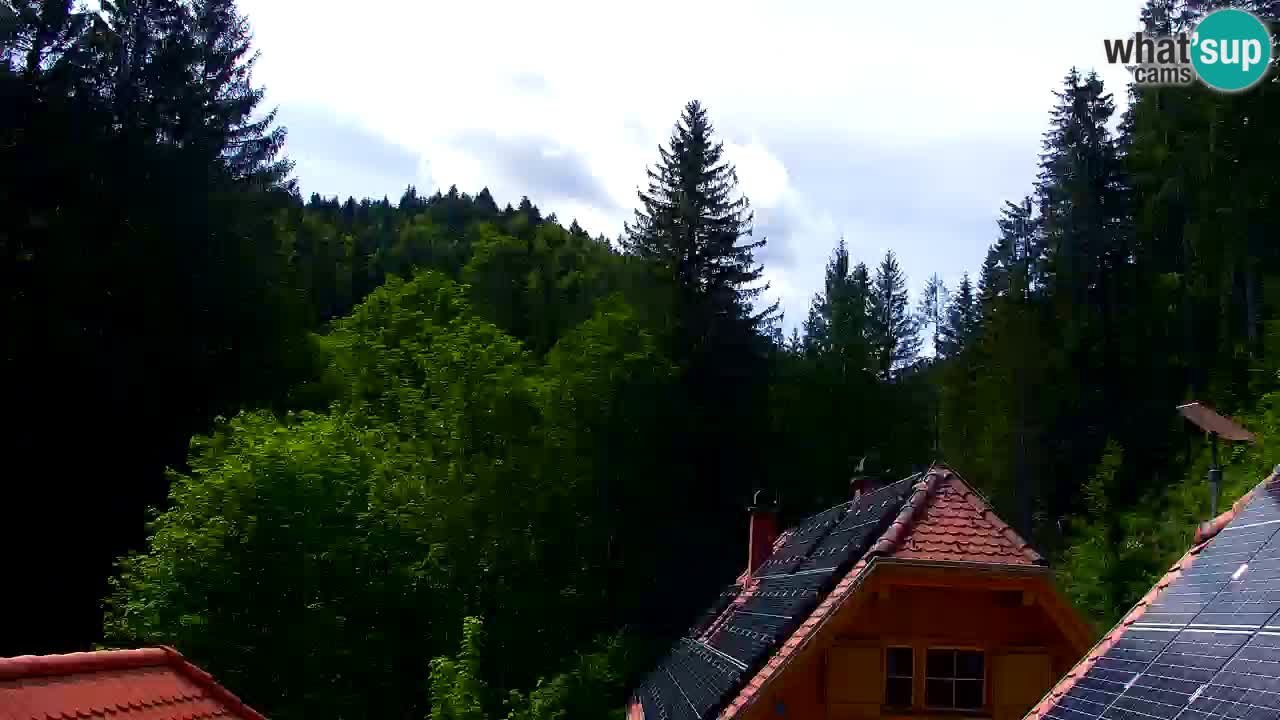 Webcam Lukanja – Water Village | Pohorje Houses