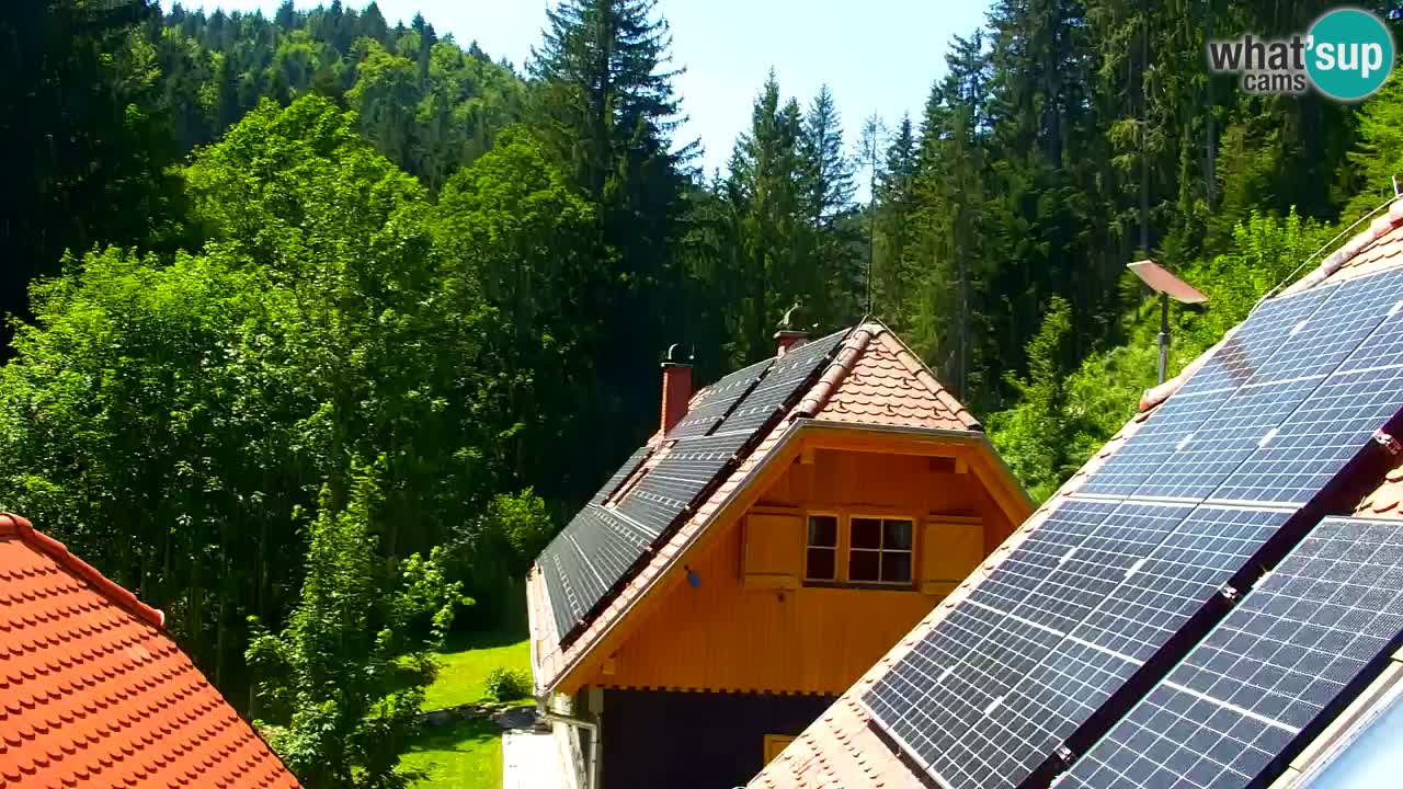 Spletna kamera Lukanja – Water Village | Pohorje Houses