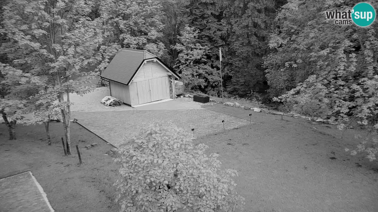 Spletna kamera Lukanja – Water Village | Pohorje Houses