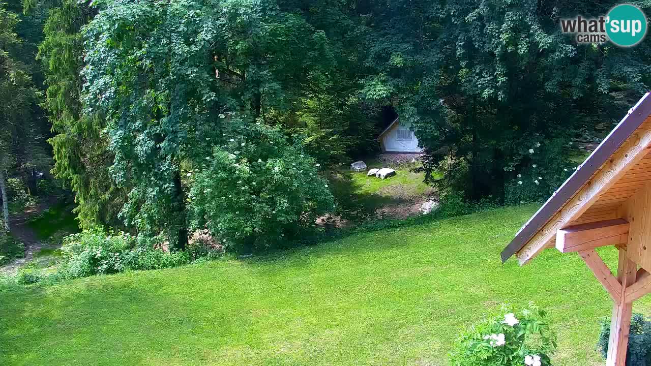 Webcam Lukanja – Pohorje houses a Water village