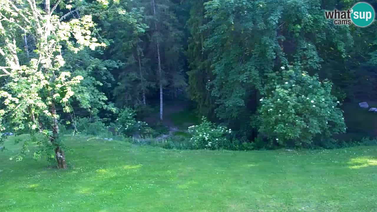 Webcam Lukanja – Pohorje houses a Water village