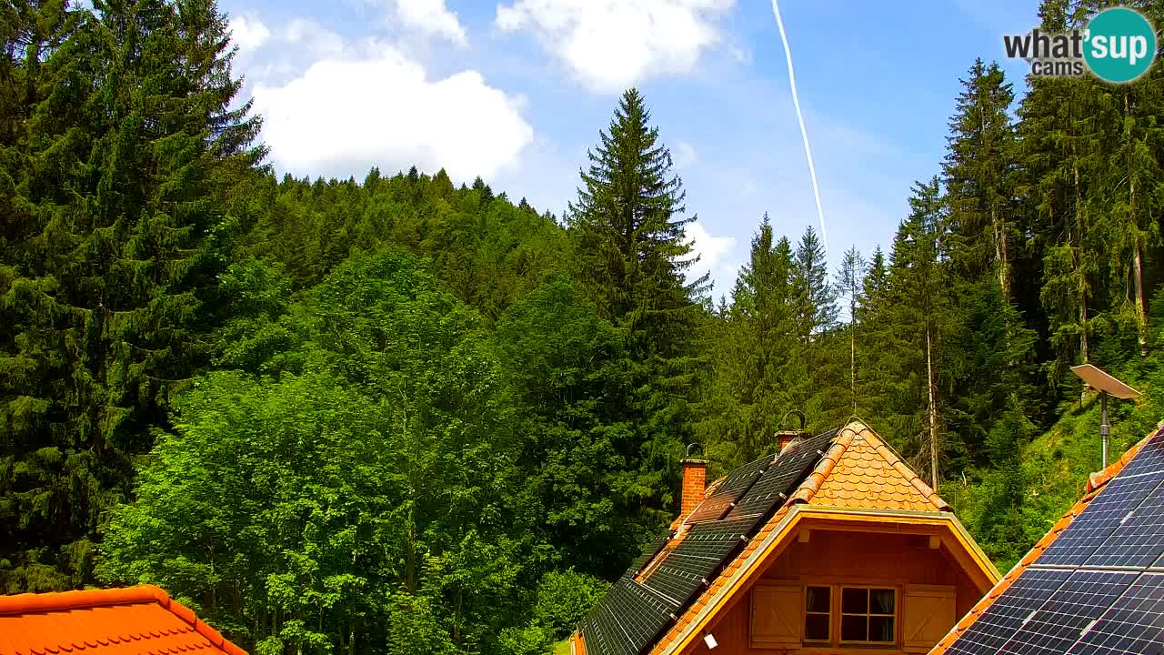 Webcam Lukanja – Water Village | Pohorje Houses