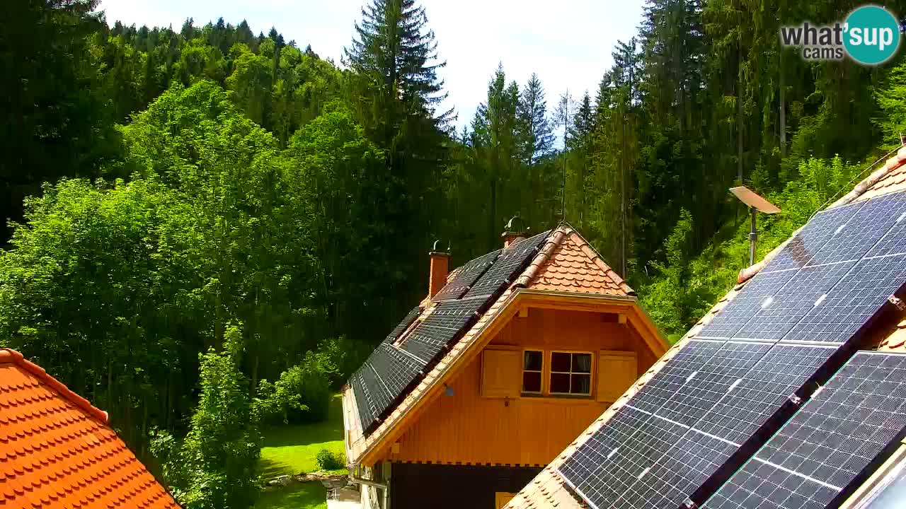 Webcam Lukanja – Water Village | Pohorje Houses