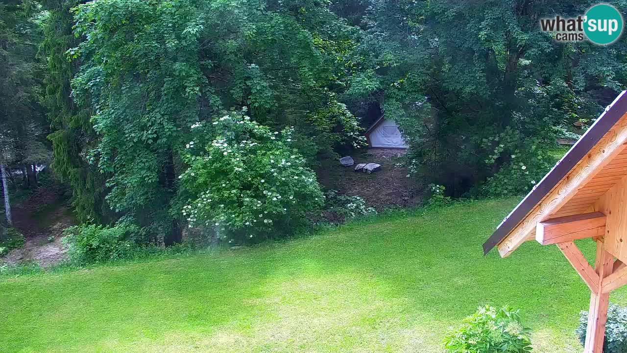 Webcam Lukanja – Pohorje houses a Water village