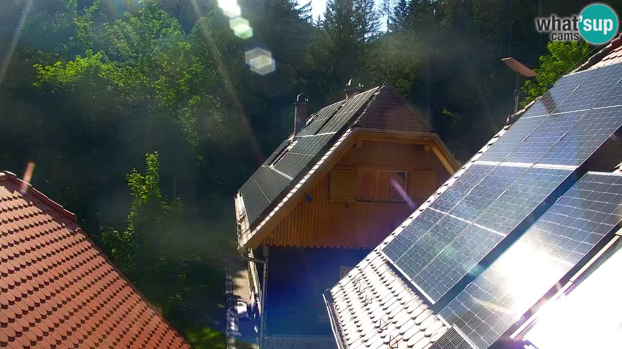 Webcam Lukanja – Water Village | Pohorje Houses