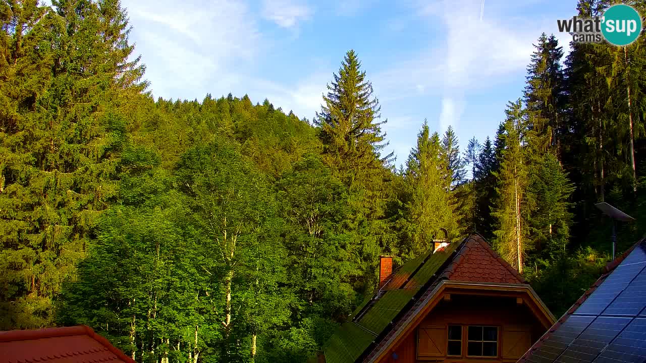 Webcam Lukanja – Pohorje houses a Water village