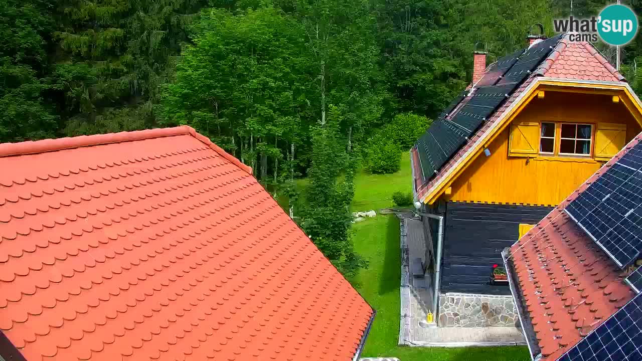 Webcam Lukanja – Pohorje houses a Water village
