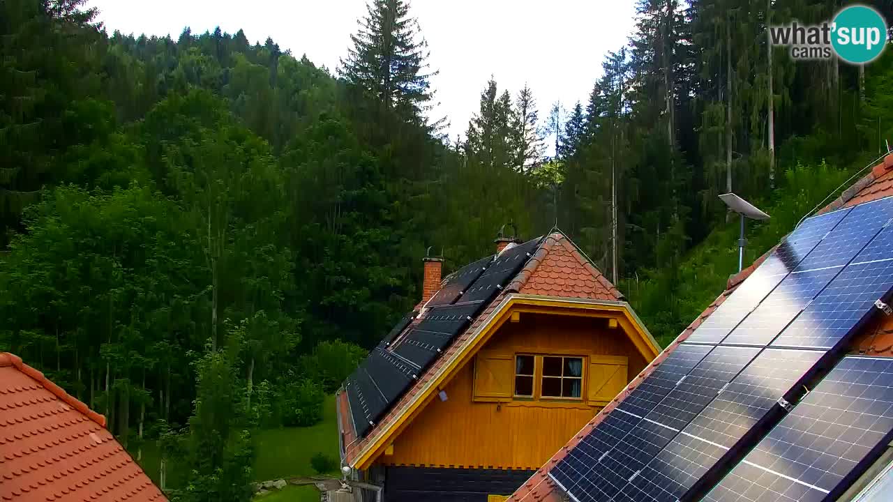 Webcam Lukanja – Pohorje houses a Water village