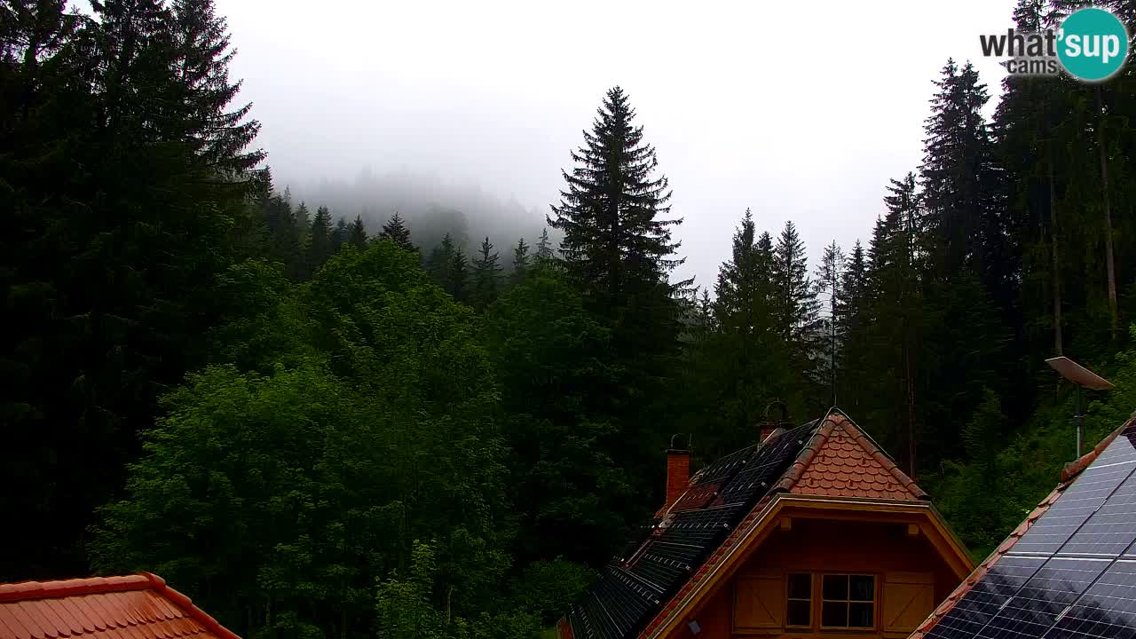 Webcam Lukanja – Water Village | Pohorje Houses