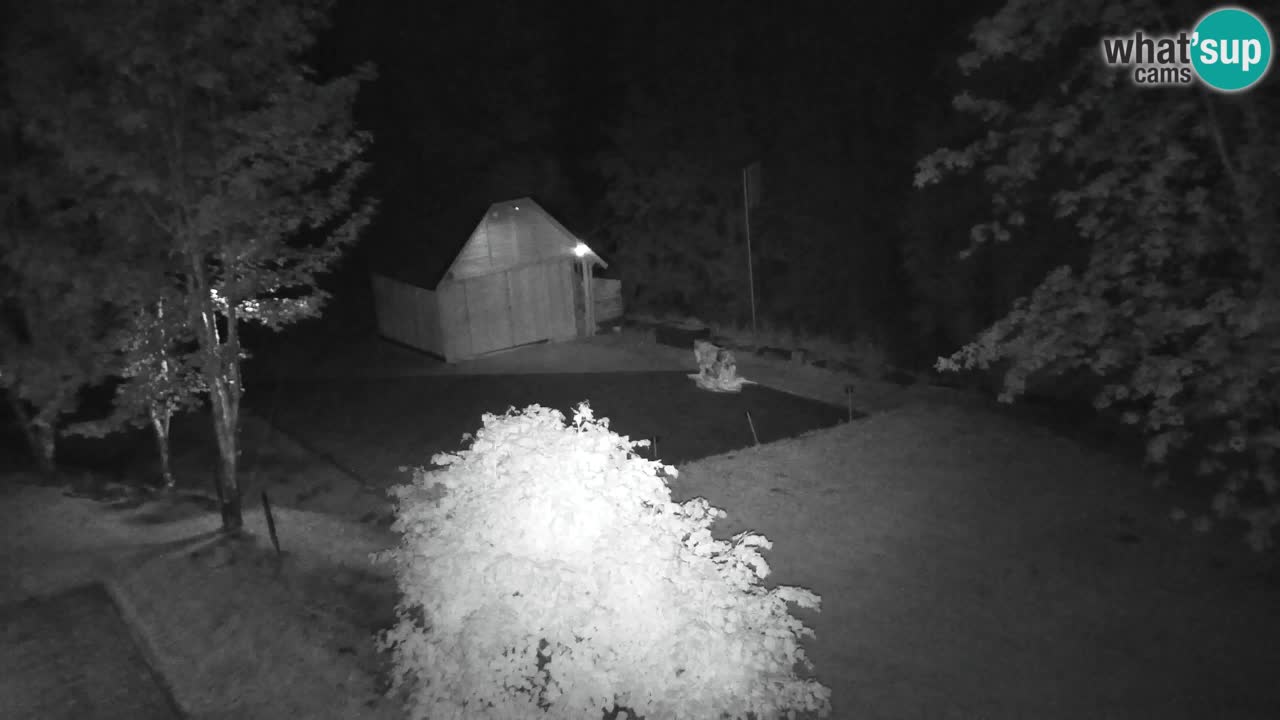 Webcam Lukanja – Water Village | Pohorje Houses