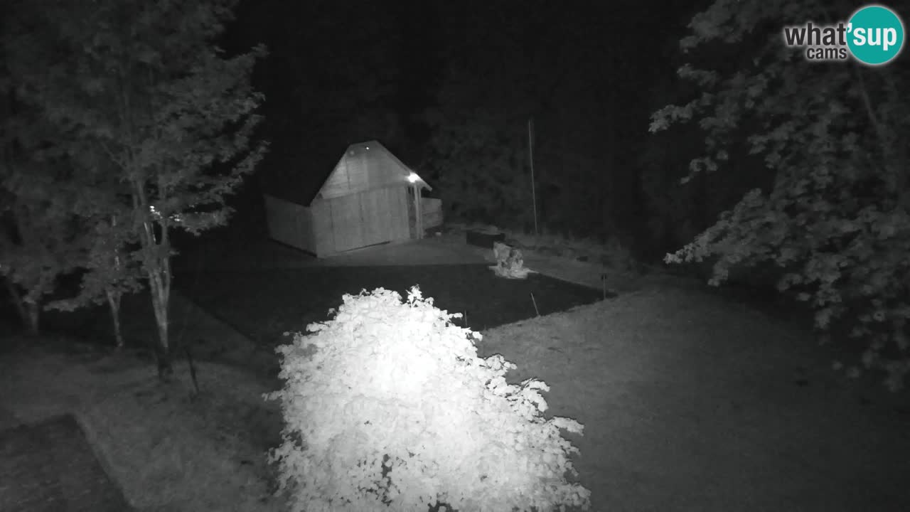 Webcam Lukanja – Water Village | Pohorje Houses