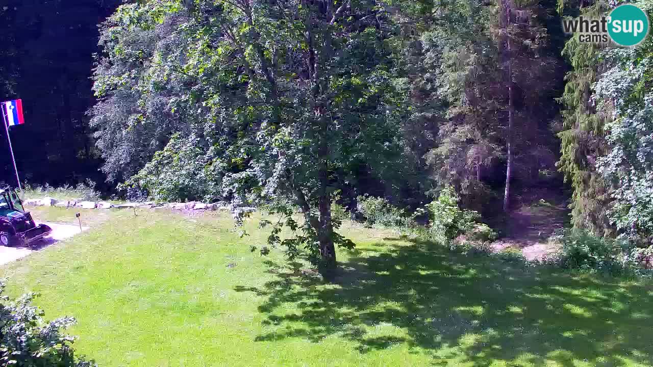 Webcam Lukanja – Water Village | Pohorje Houses