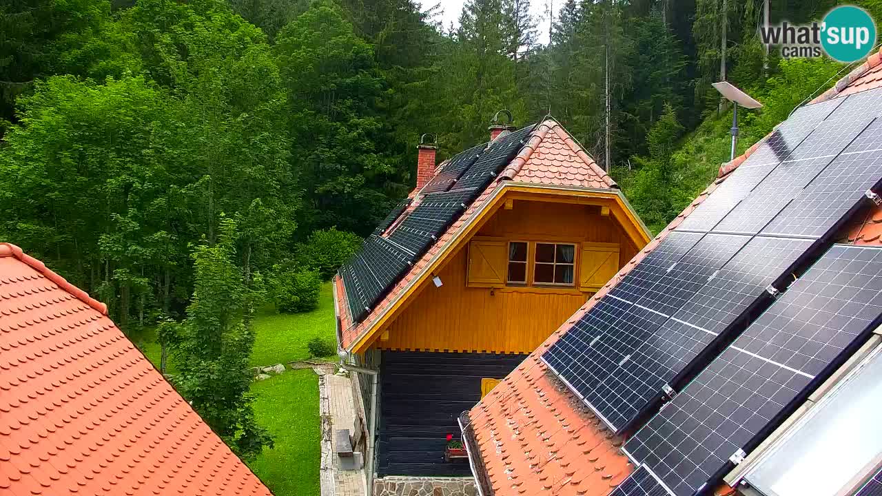 Webcam Lukanja – Water Village | Pohorje Houses