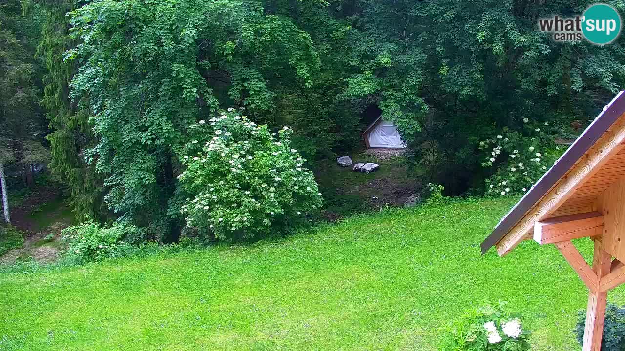 Webcam Lukanja – Water Village | Pohorje Houses