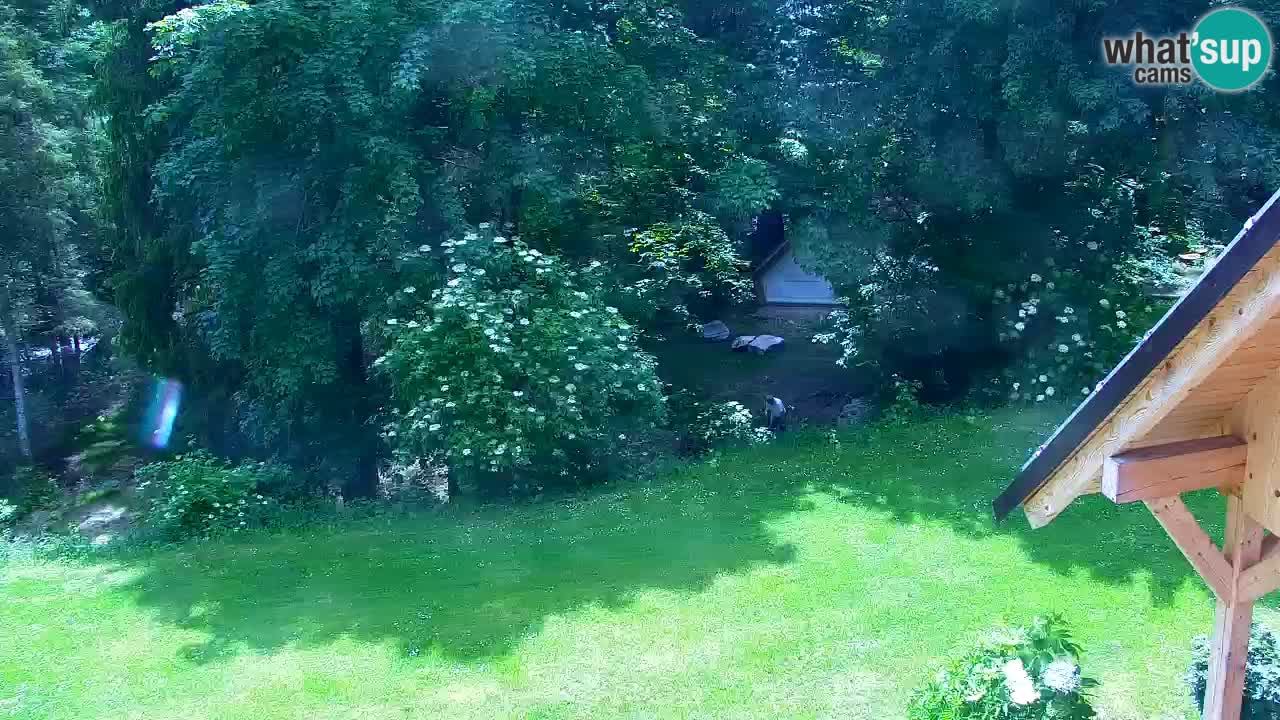 Webcam Lukanja – Water Village | Pohorje Houses