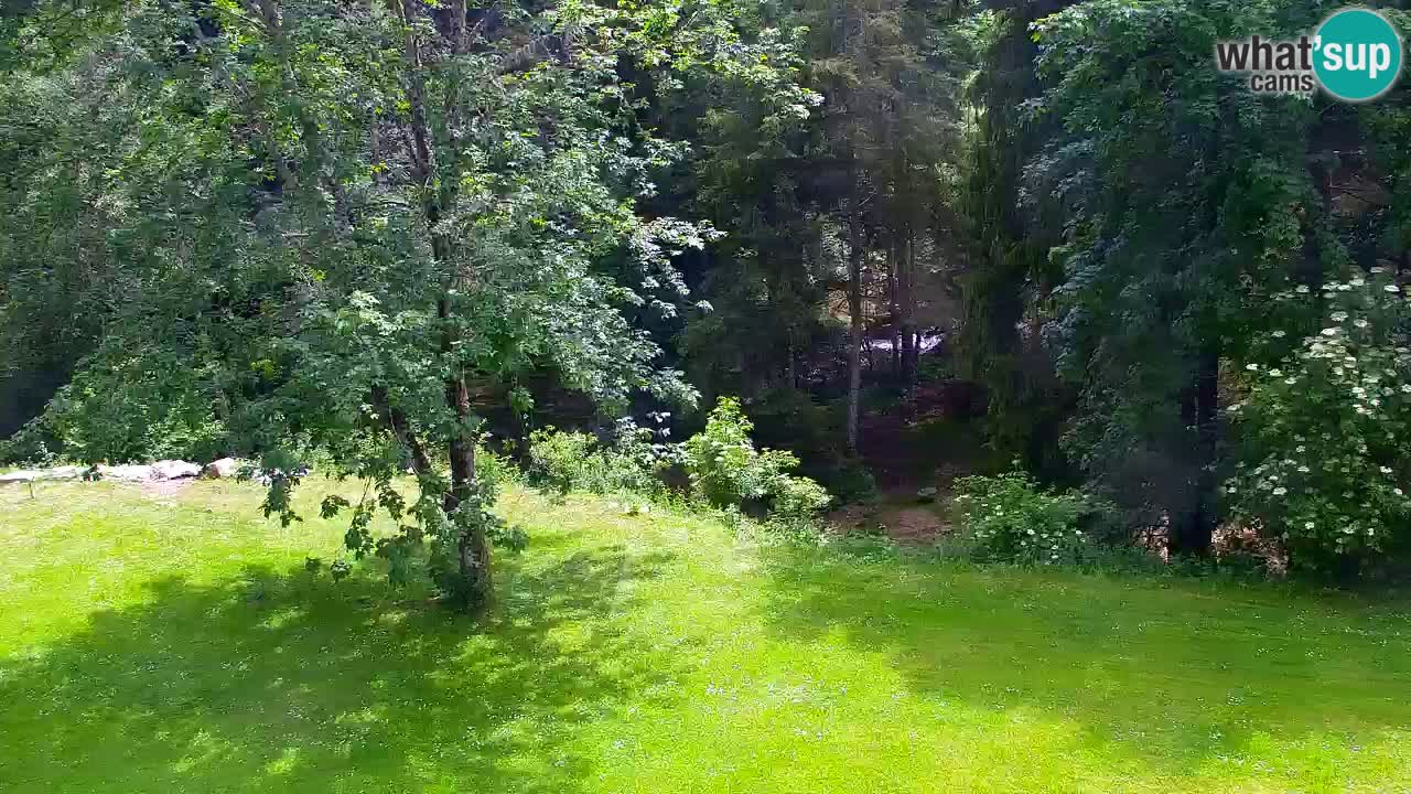 Webcam Lukanja – Water Village | Pohorje Houses