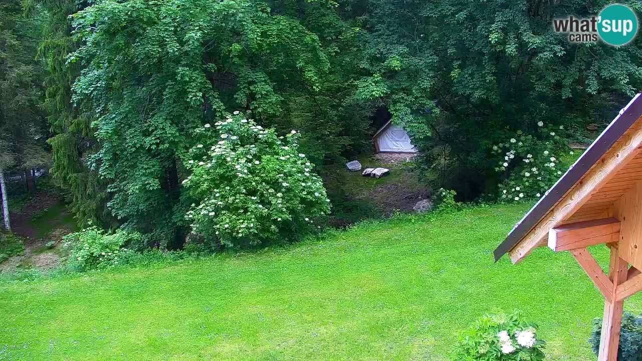 Webcam Lukanja – Water Village | Pohorje Houses