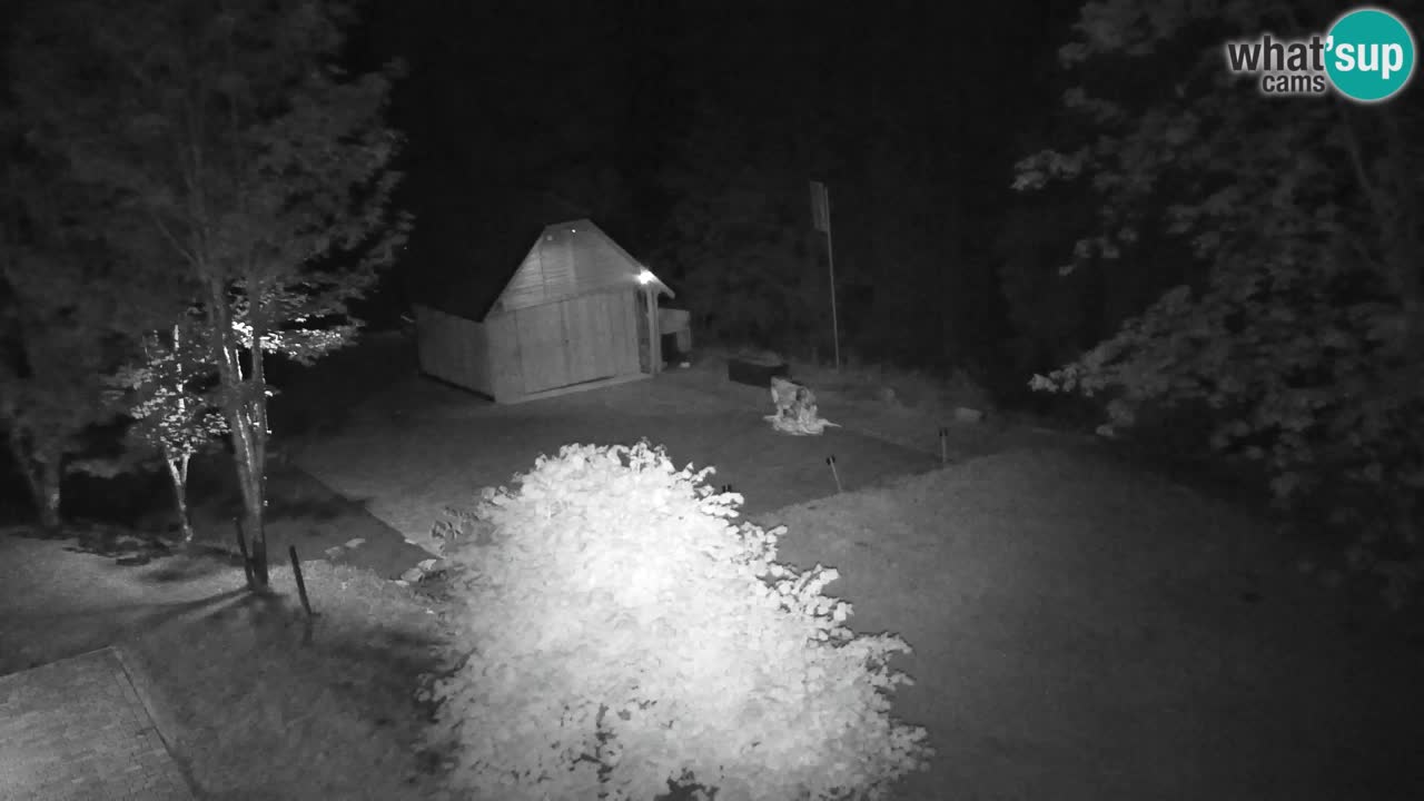 Webcam Lukanja – Pohorje houses a Water village