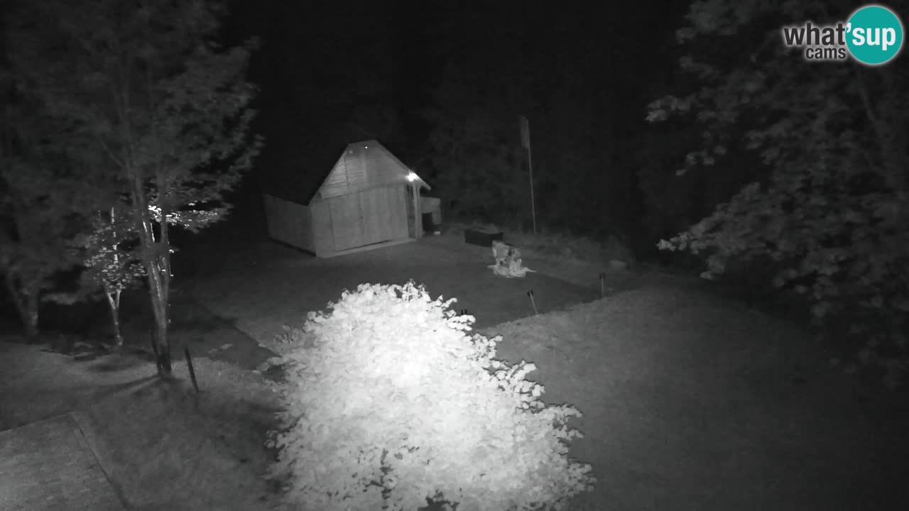 Webcam Lukanja – Pohorje houses a Water village