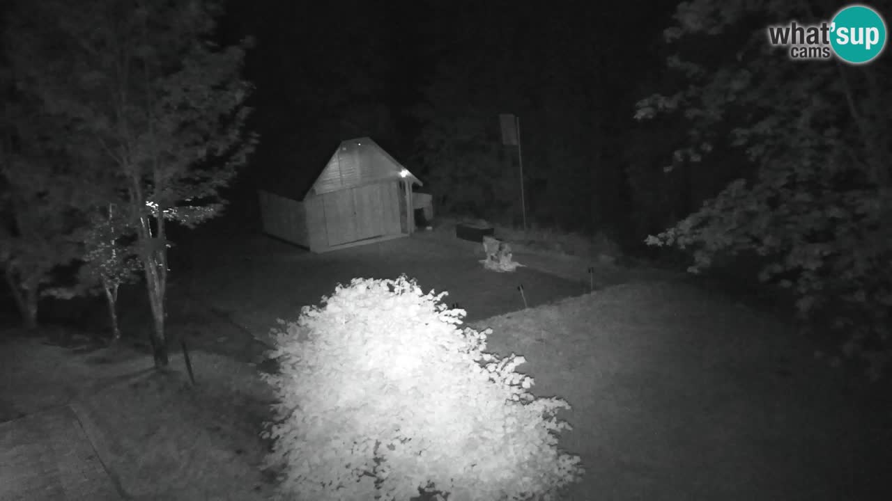 Webcam Lukanja – Pohorje houses a Water village