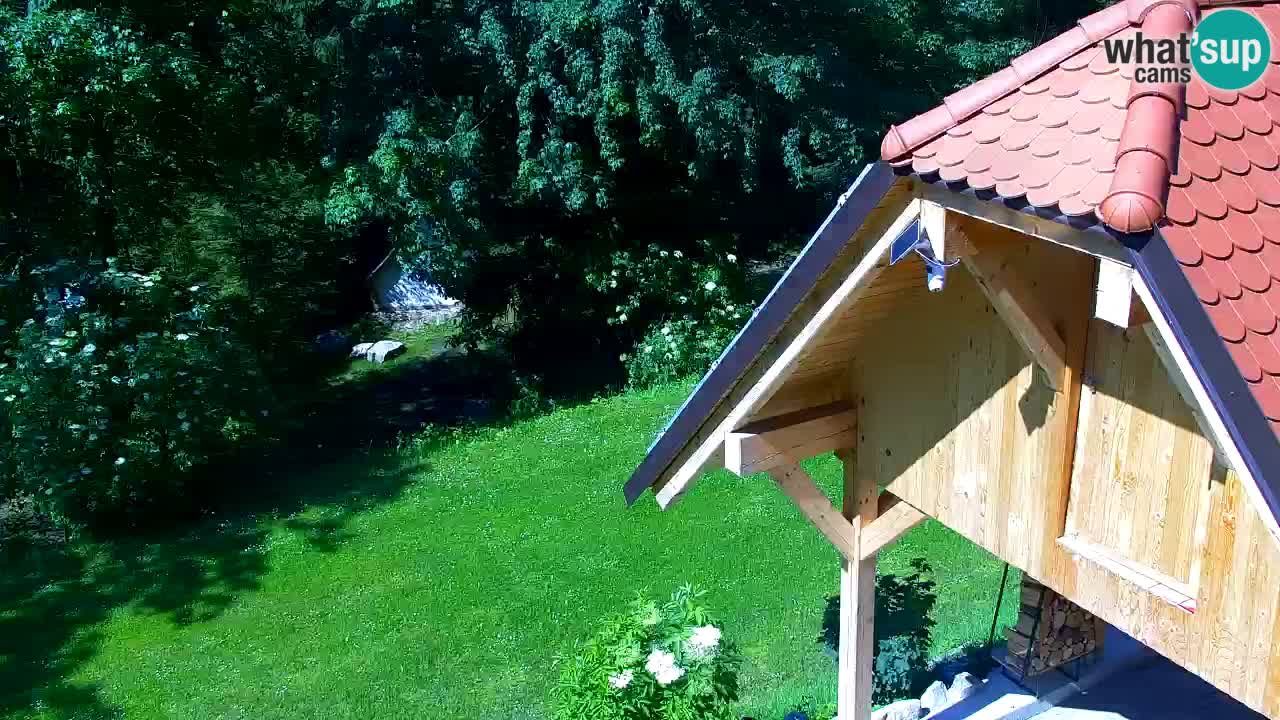 Webcam Lukanja – Pohorje houses a Water village