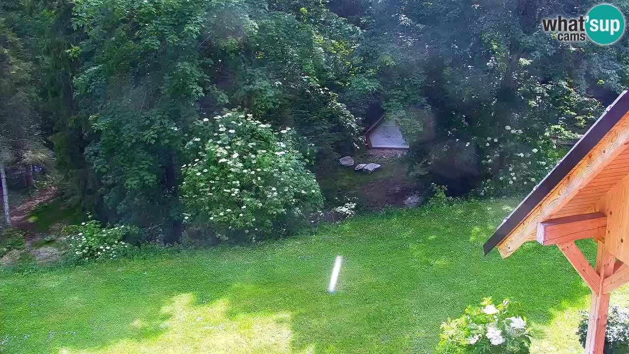 Webcam Lukanja – Water Village | Pohorje Houses