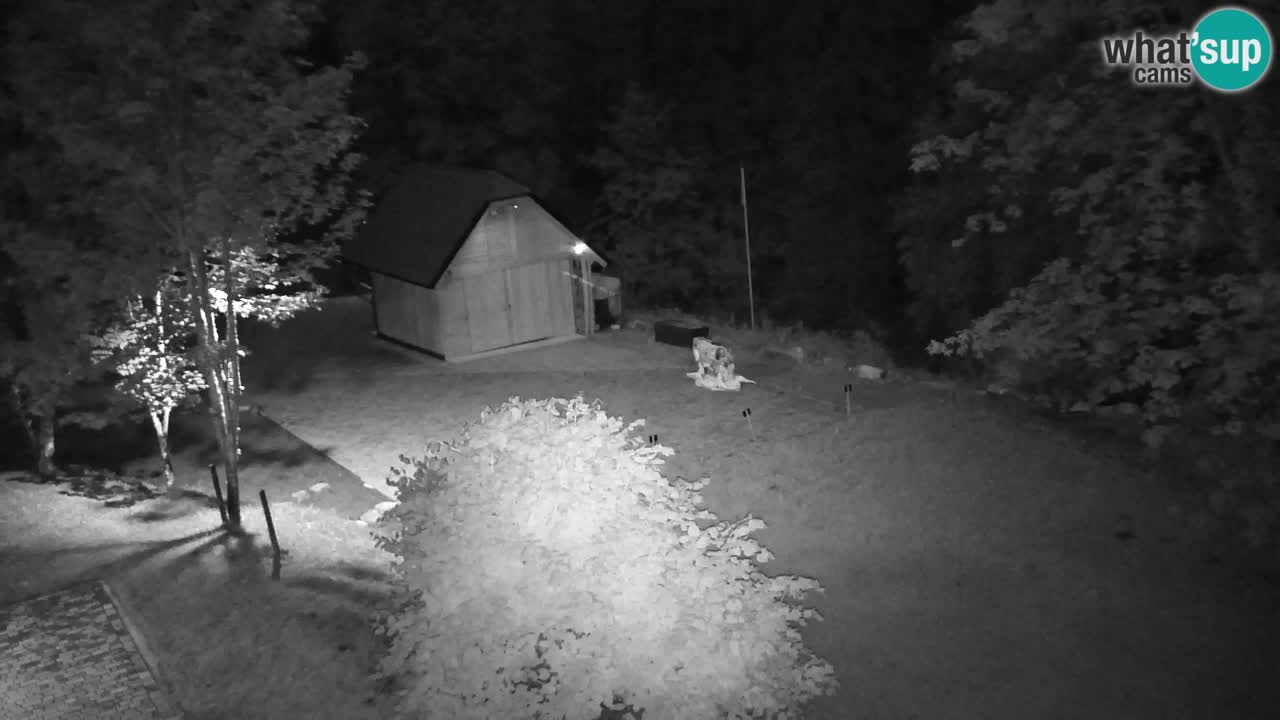 Webcam Lukanja – Pohorje houses a Water village