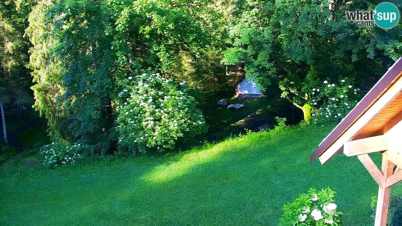 Webcam Lukanja – Water Village | Pohorje Houses