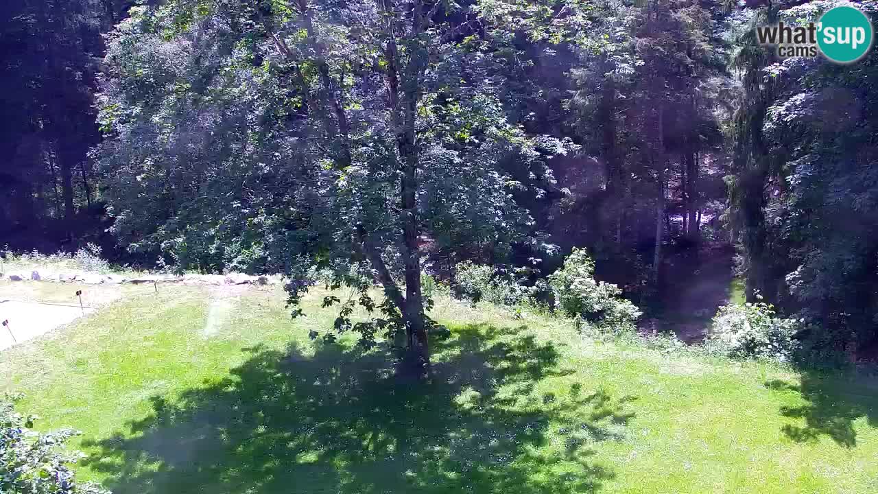 Webcam Lukanja – Water Village | Pohorje Houses