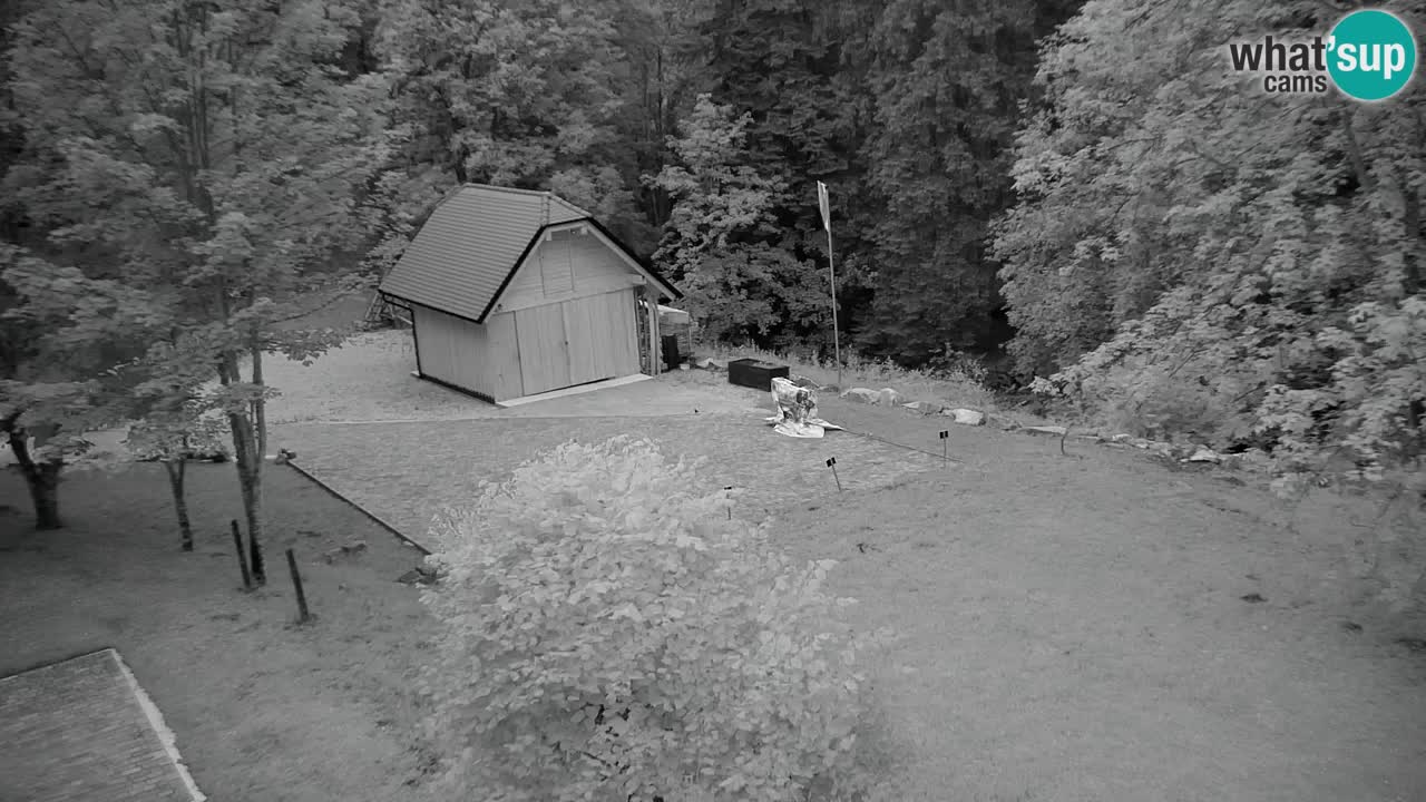 Webcam Lukanja – Water Village | Pohorje Houses