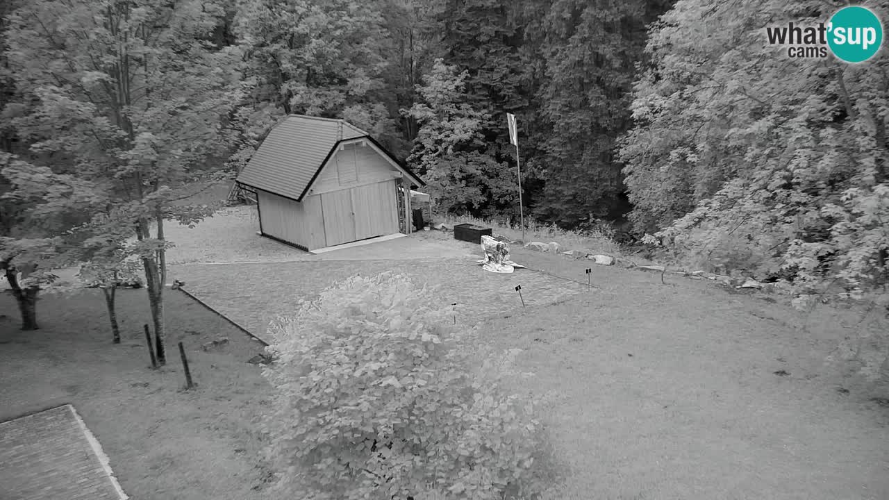 Webcam Lukanja – Pohorje houses a Water village