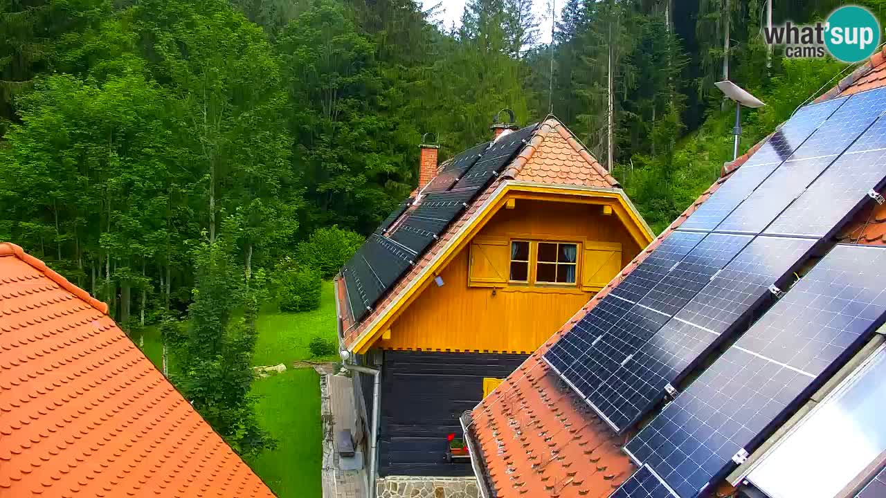 Webcam Lukanja – Pohorje houses a Water village
