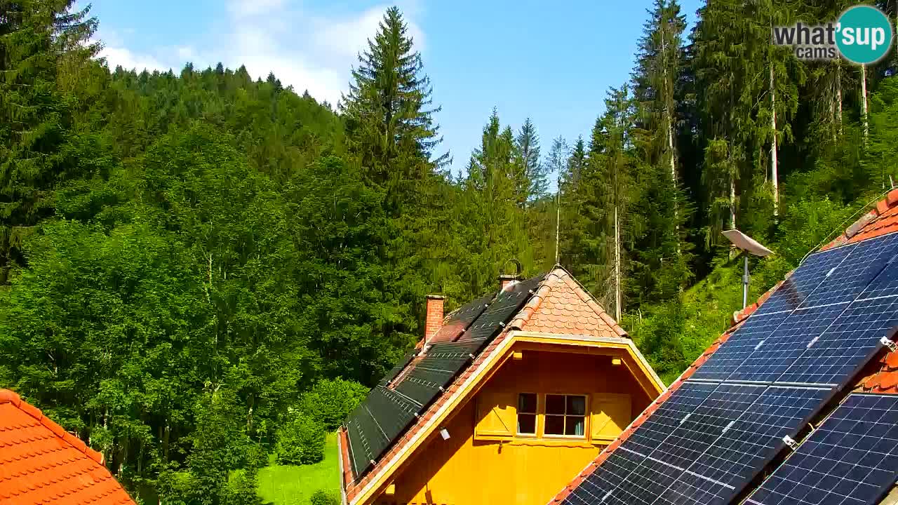 Webcam Lukanja – Pohorje houses a Water village