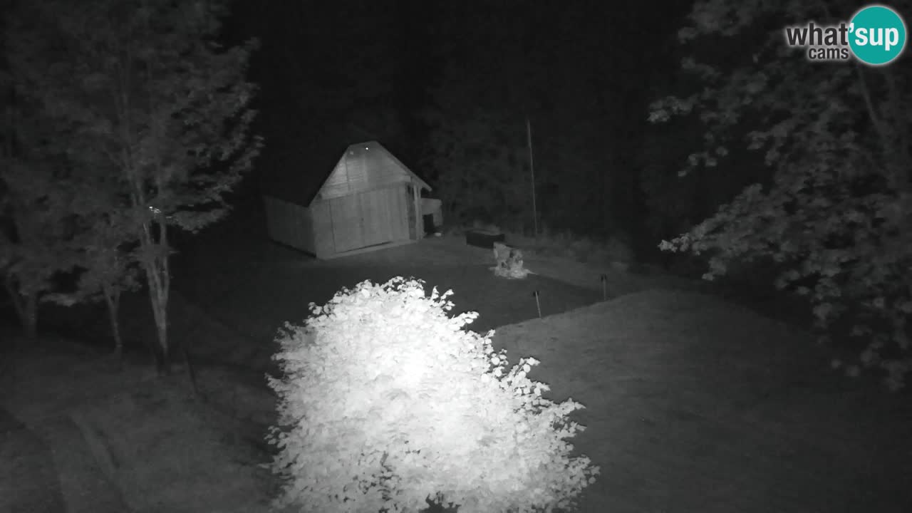 Webcam Lukanja – Pohorje houses a Water village