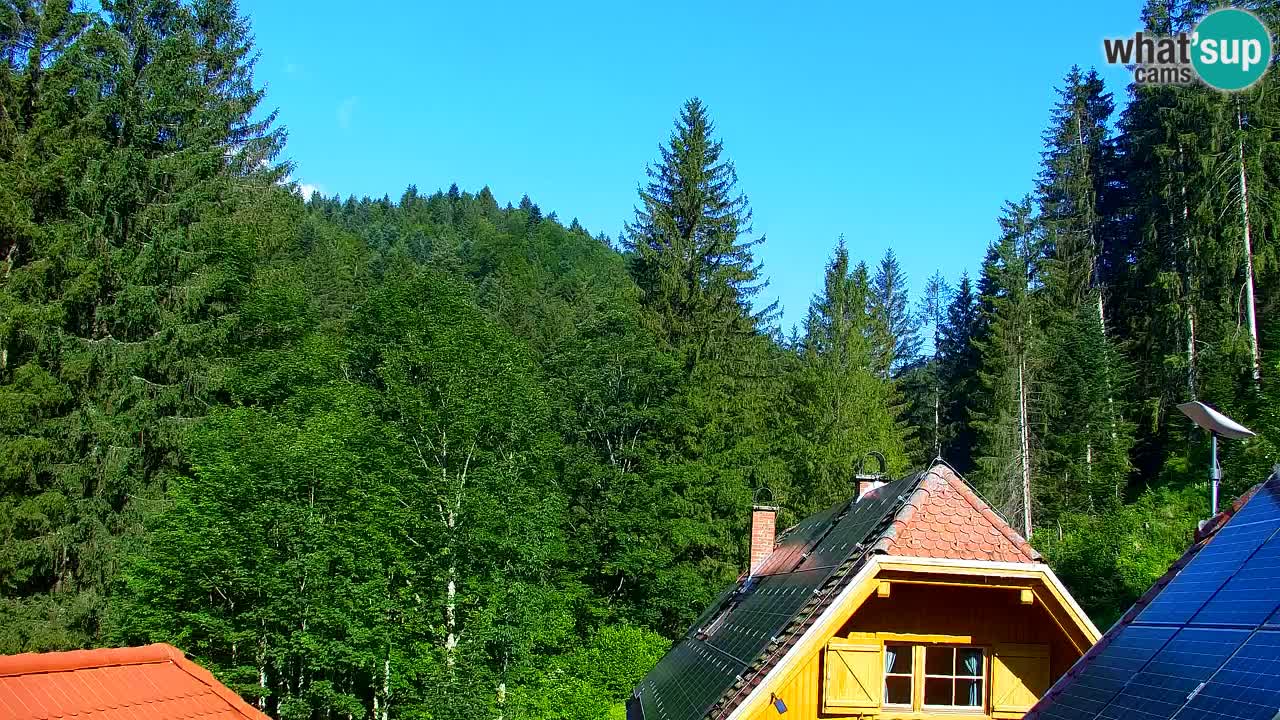 Webcam Lukanja – Water Village | Pohorje Houses