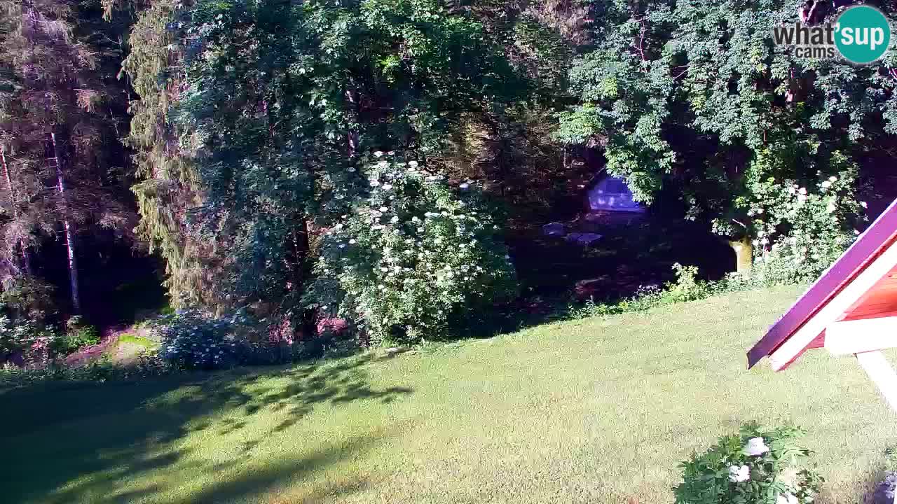 Webcam Lukanja – Water Village | Pohorje Houses