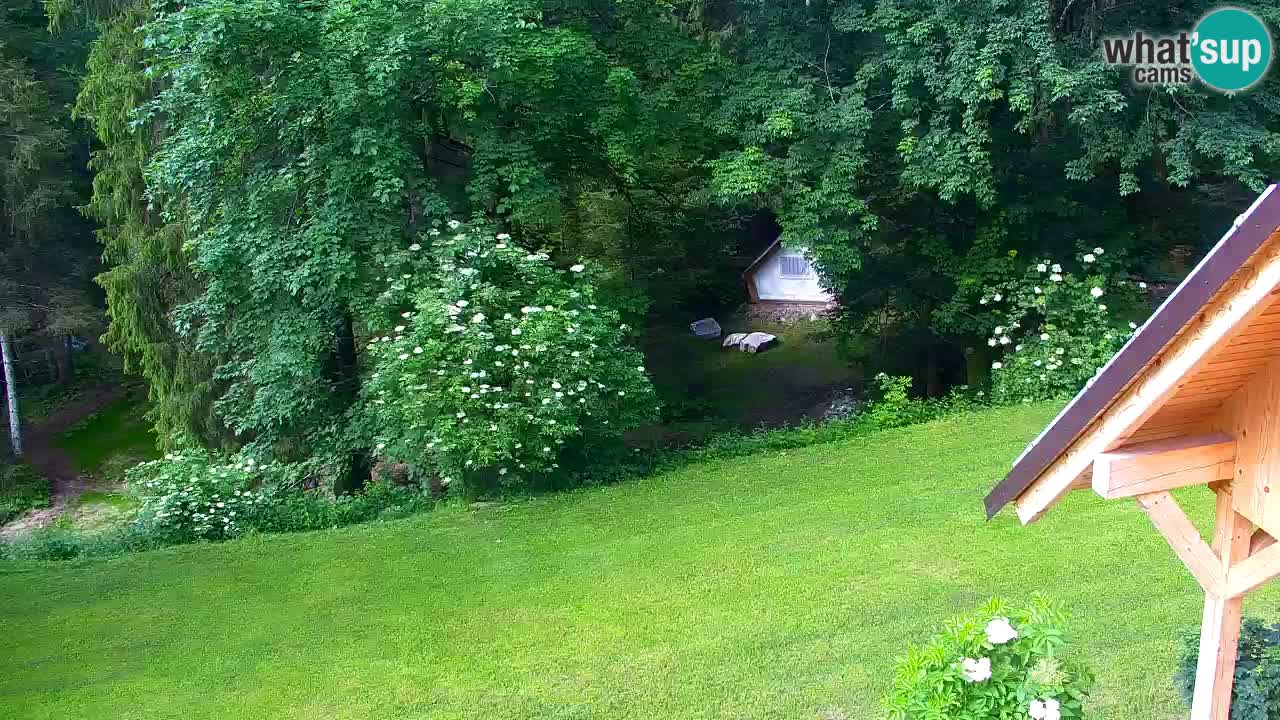 Spletna kamera Lukanja – Water Village | Pohorje Houses