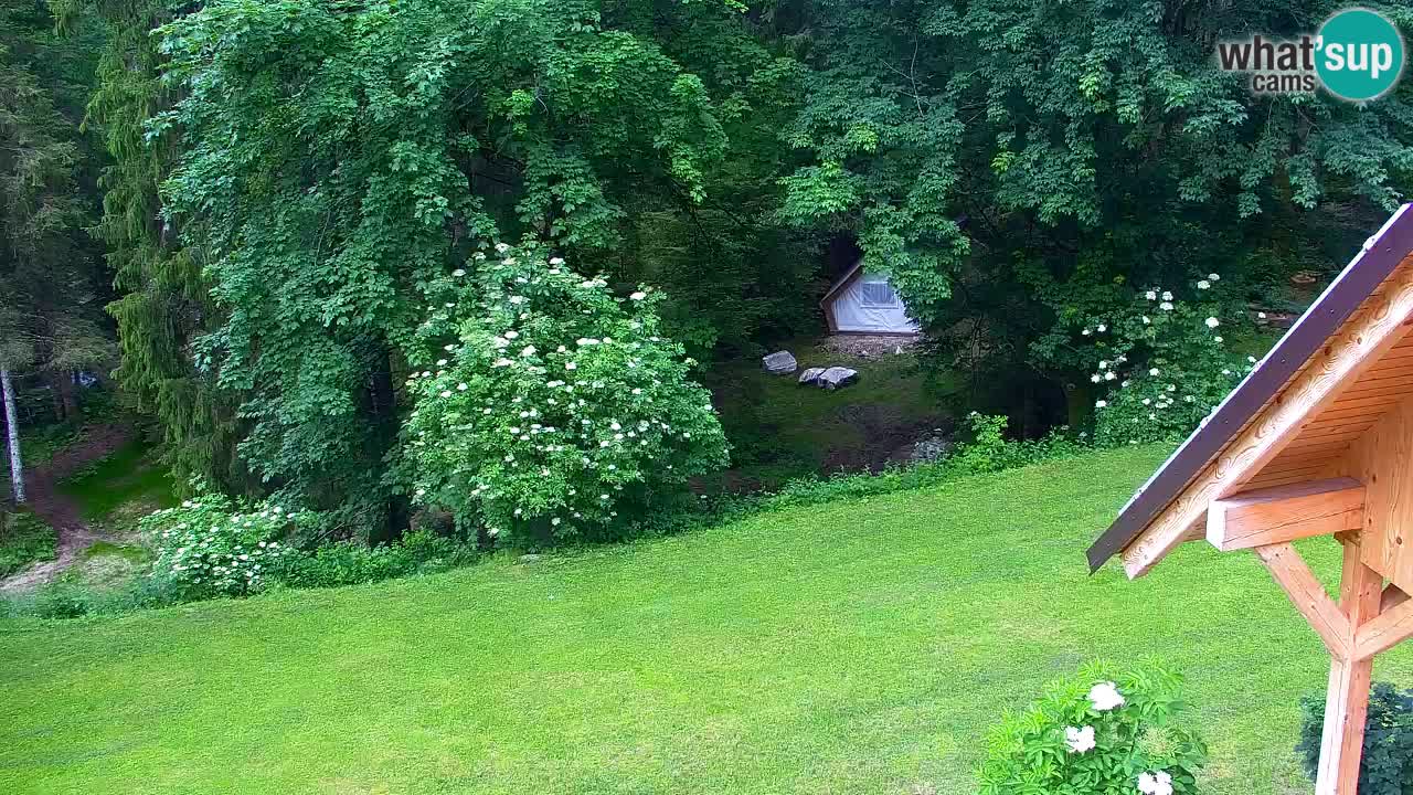 Spletna kamera Lukanja – Water Village | Pohorje Houses