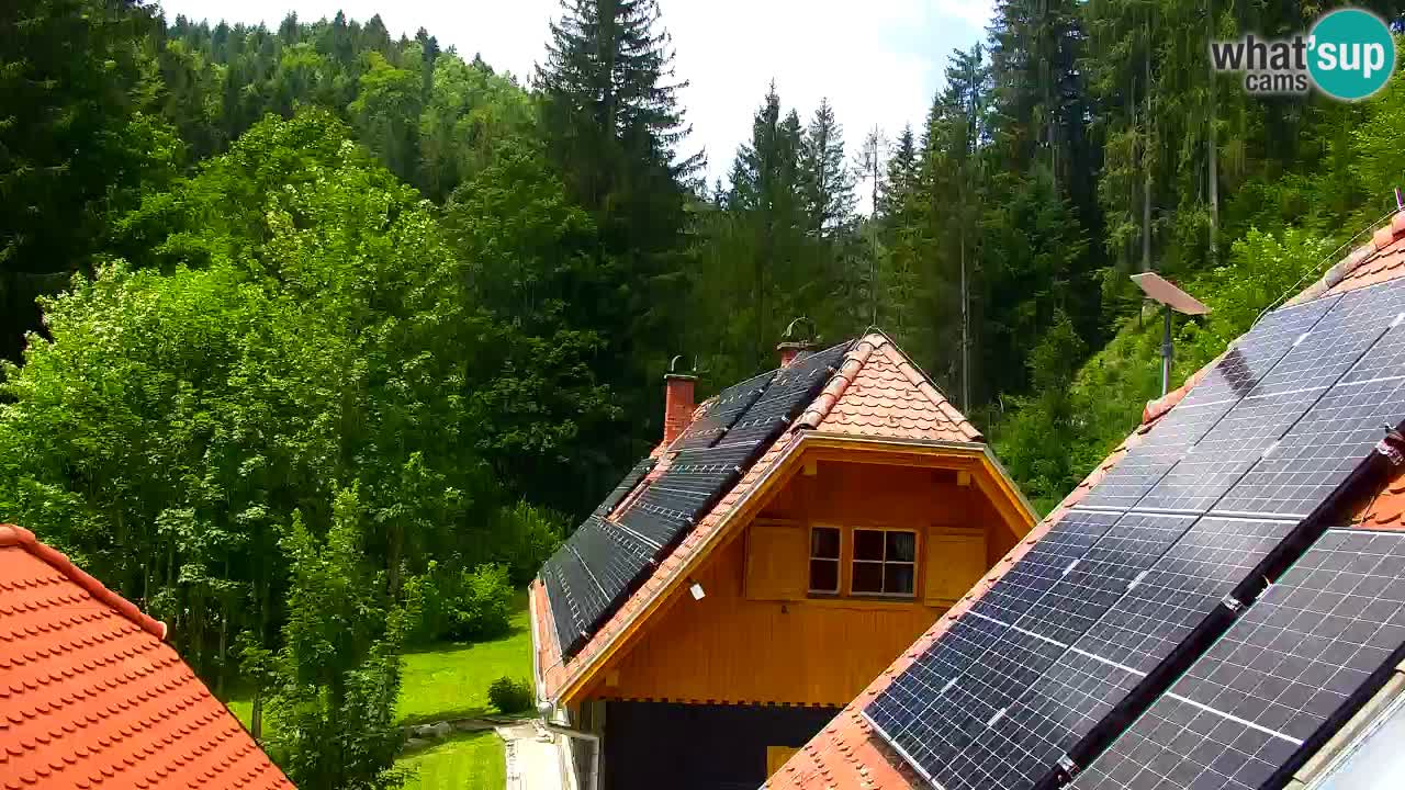 Spletna kamera Lukanja – Water Village | Pohorje Houses